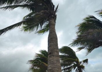 نشرة إنذارية: رياح قوية وغبار متوقع في عدة مناطق بالمغرب