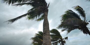 نشرة إنذارية: رياح قوية وغبار متوقع في عدة مناطق بالمغرب