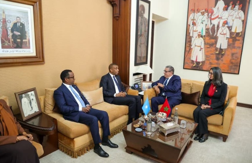 أخنوش يستقبل رئيس الوزراء الصومالي ويبحثان تعزيز الشراكة بين البلدين