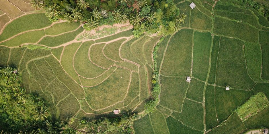 القطاع الفلاحي المغربي يواجه تحدي الجفاف بصمود ونموذج تدبير مائي رائد