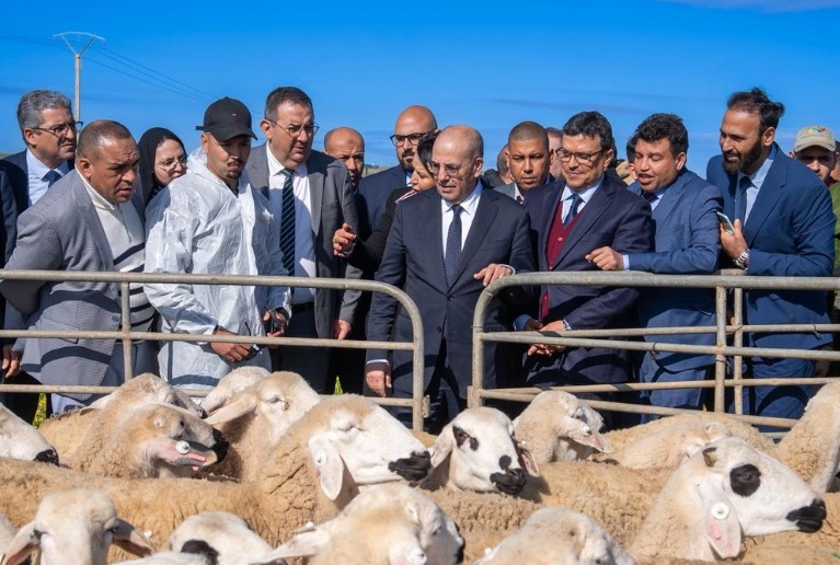 انطلاقة قوية لمشاريع الجيل الأخضر في قلب إقليم الرحامنة