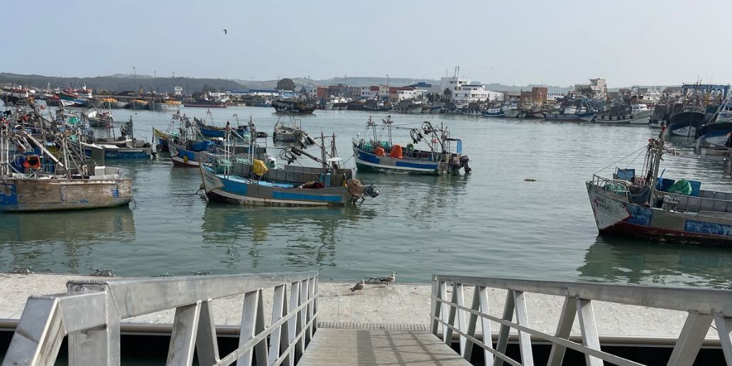 ميناء العرائش: عودة جزئية لنشاط الصيد الساحلي بعد تحسن أحوال البحر